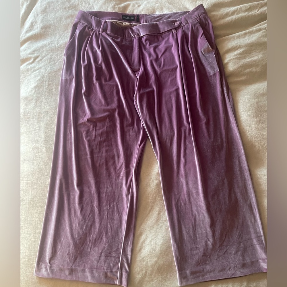 Wildfang Lavender Velvet Trouser in 24W